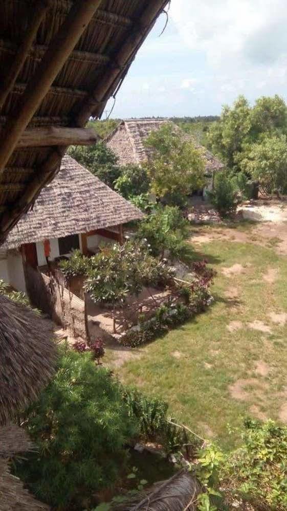 Zeru Zeru 2* Kituoni